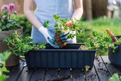 Personne se confectionnant une jardinière colorée dans son jardin.